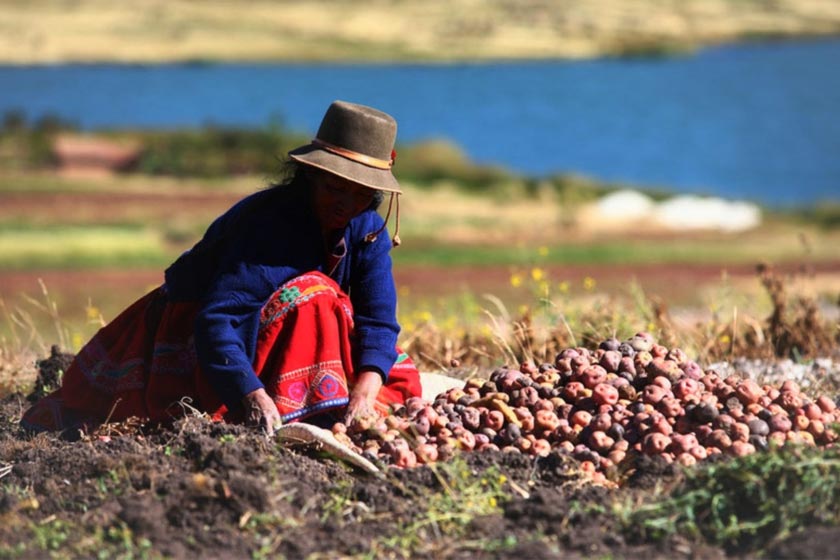 La importancia de la articulación para enfrentar el Niño Costero y el Niño Global