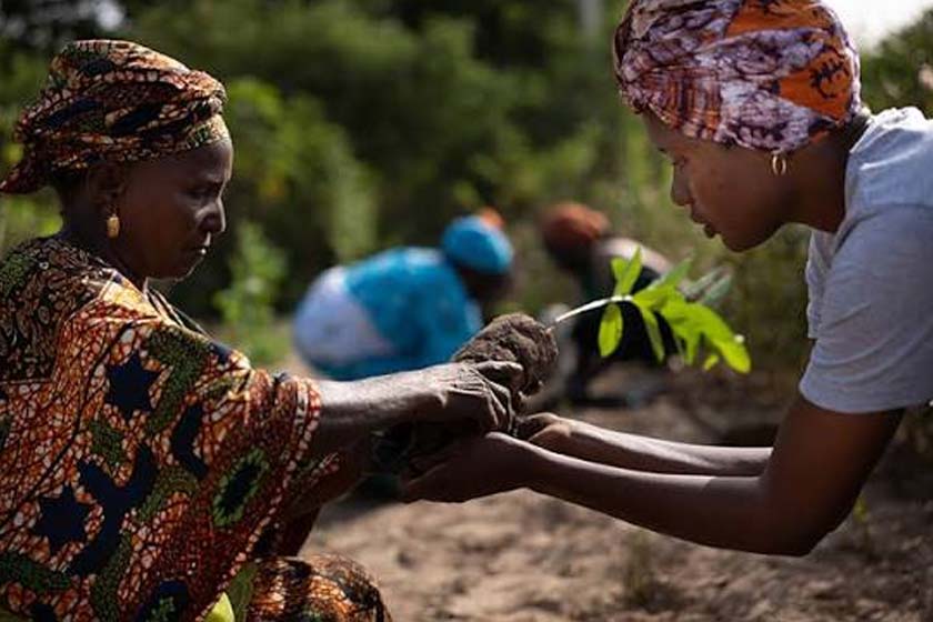 Día mundial del medio ambiente