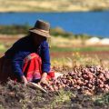 La importancia de la articulación para enfrentar el Niño Costero y el Niño Global